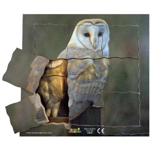Cyklus - vývoj života sovy (puzzle 19 dílů)